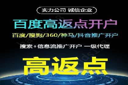 SEM代理服务：案例对比，效果哪家更胜一筹